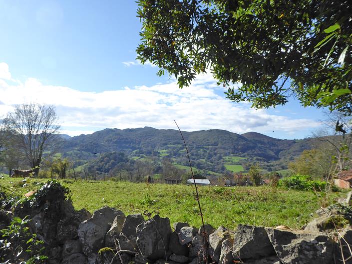 Image No.60-6 Bed Farmhouse for sale