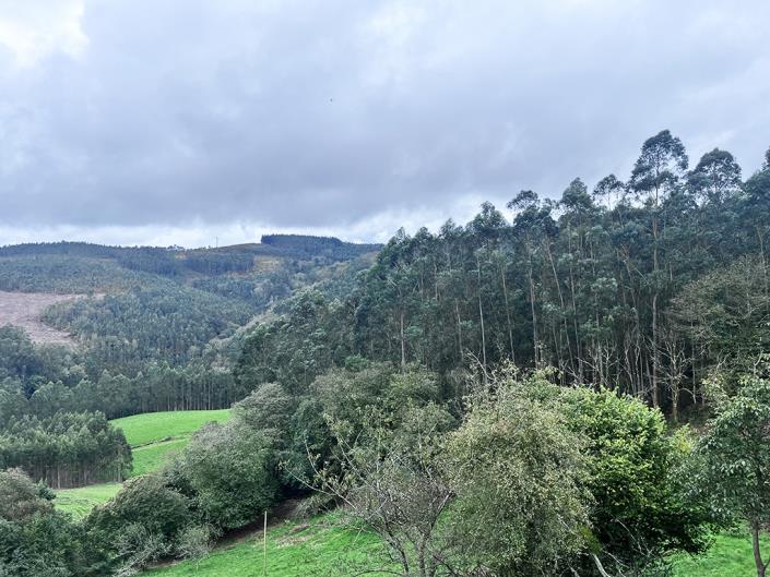 Image No.10-3 Bed Country Property for sale