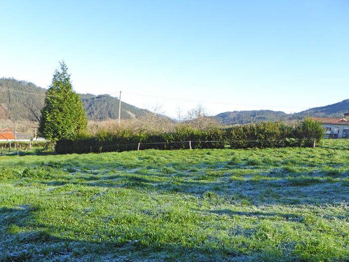 Image No.23-3 Bed Country House for sale