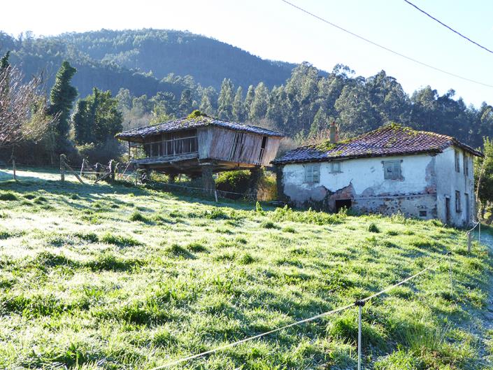 Image No.25-3 Bed Country House for sale