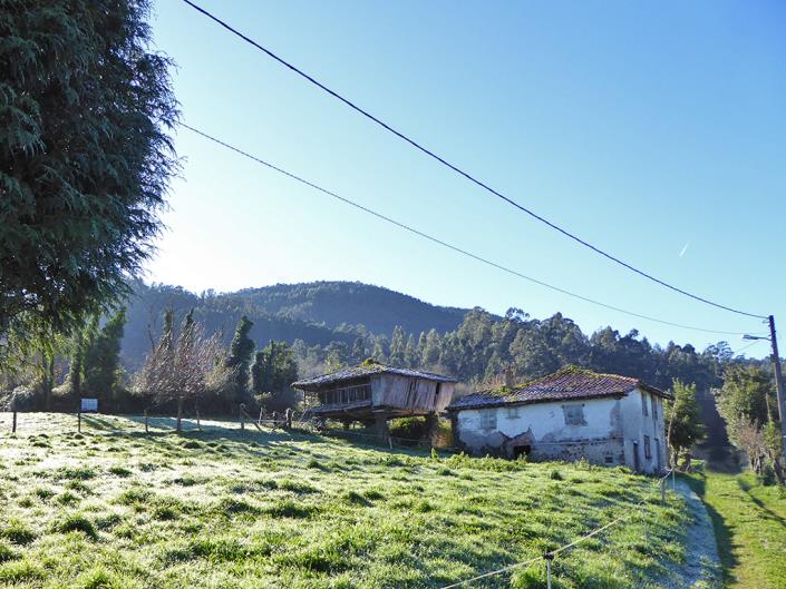 Image No.29-3 Bed Country House for sale