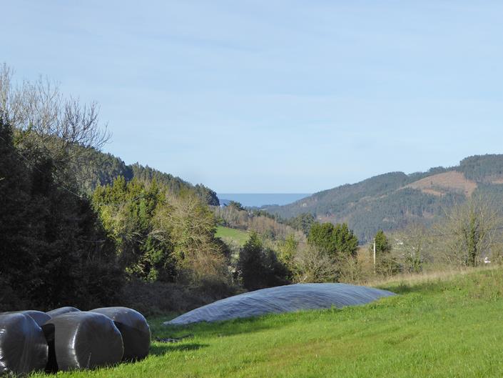 Image No.14-4 Bed Country House for sale