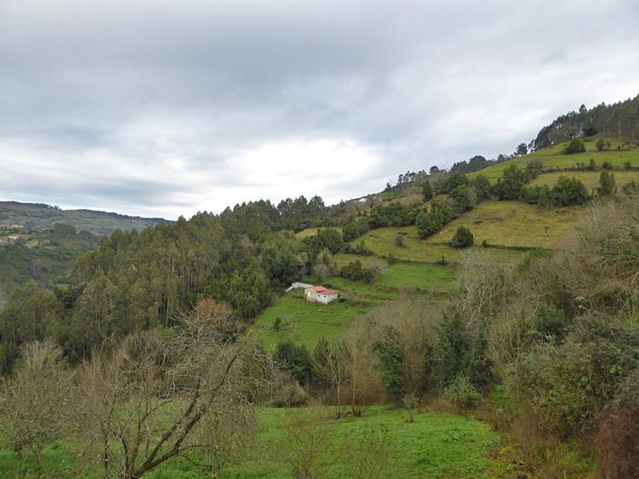 Image No.27-3 Bed Village House for sale