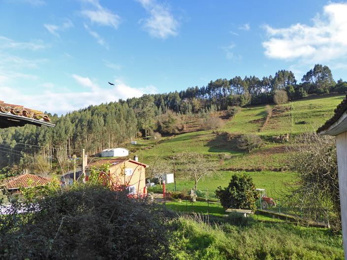 Image No.22-6 Bed Village House for sale