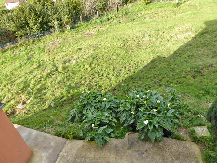 Image No.24-4 Bed Country House for sale