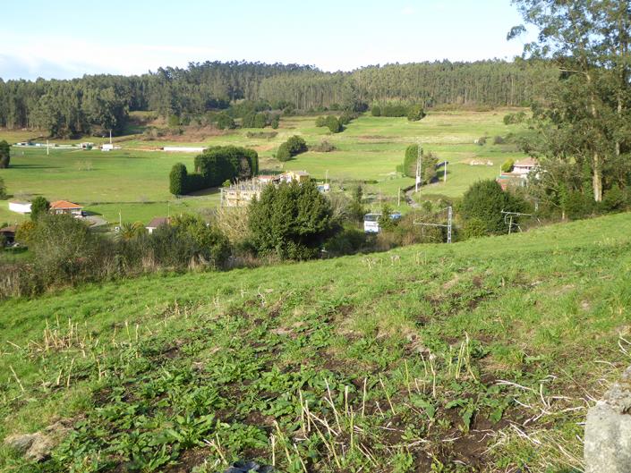 Image No.54-4 Bed Country House for sale