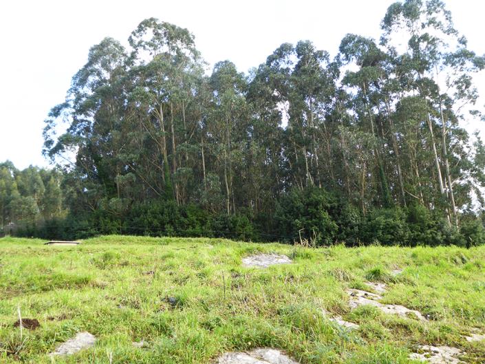 Image No.56-4 Bed Country House for sale