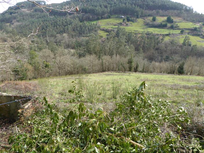 Image No.26-1 Bed Finca for sale