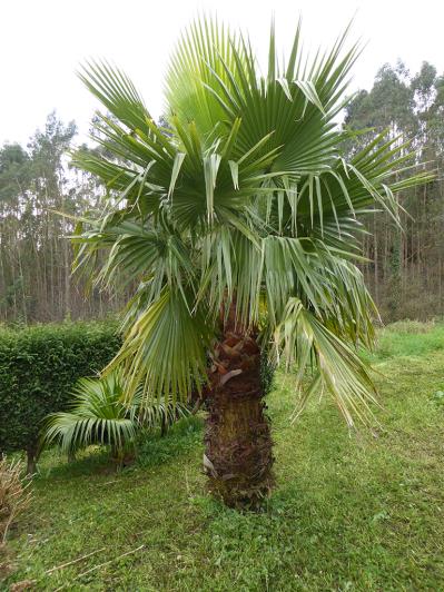 Image No.36-2 Bed Apartment for sale