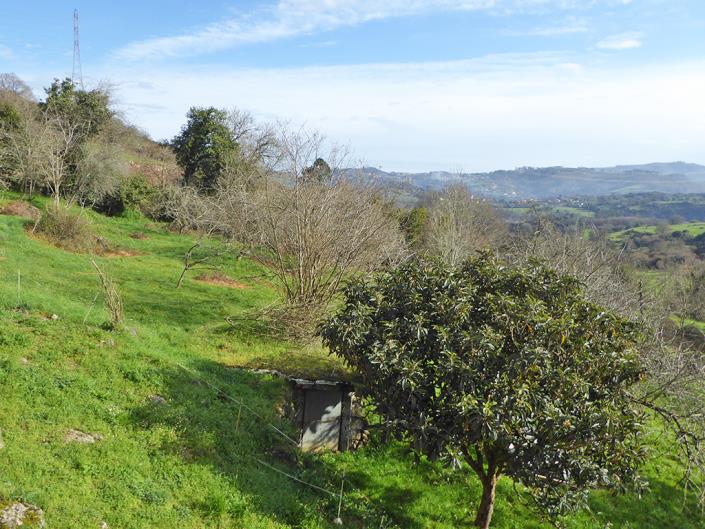 Image No.35-4 Bed Country Property for sale