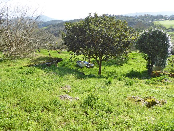 Image No.53-4 Bed Country Property for sale