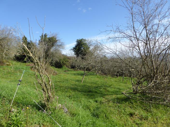 Image No.54-4 Bed Country Property for sale