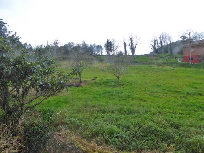 Image No.19-5 Bed Country House for sale