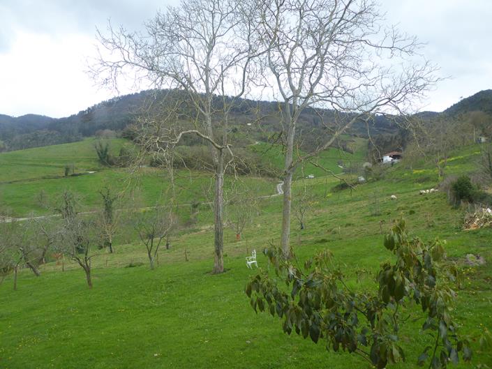 Image No.20-5 Bed Country House for sale