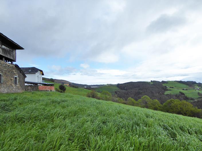 Image No.12-5 Bed Country Property for sale