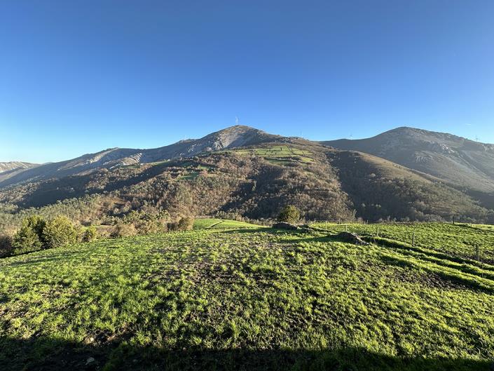 Image No.14-5 Bed Country Property for sale