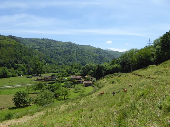 Image No.59-3 Bed Country Property for sale