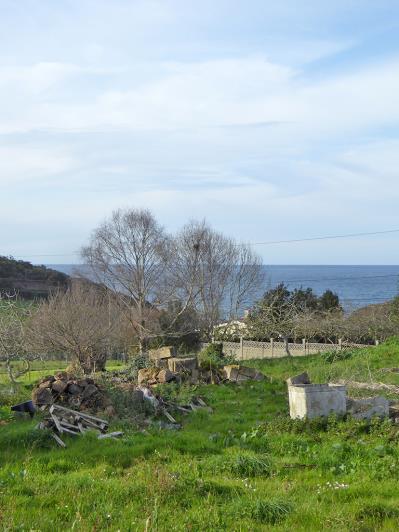 Image No.59-4 Bed House/Villa for sale