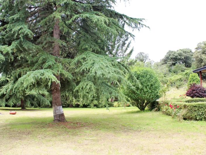 Image No.42-5 Bed Country Property for sale