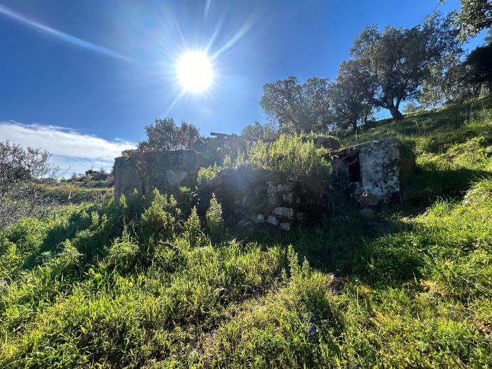 Image No.13-Land for sale