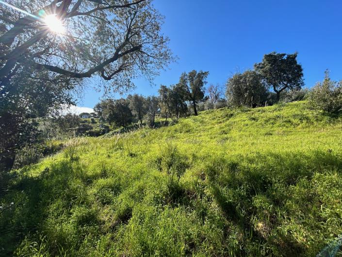 Image No.16-Land for sale