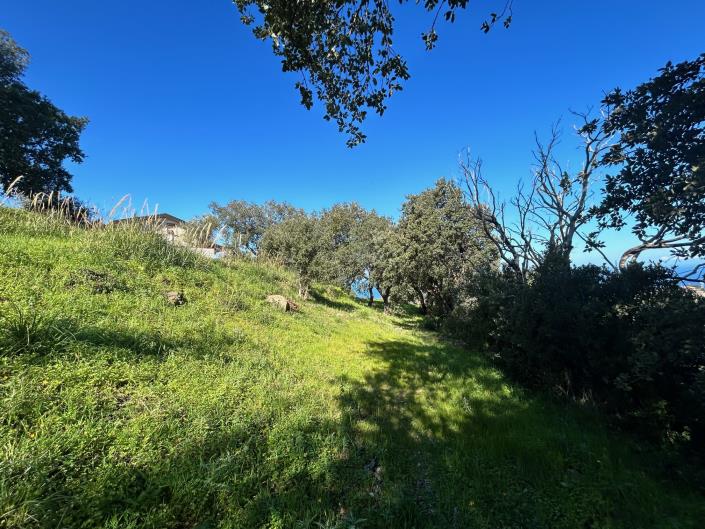 Image No.17-Land for sale