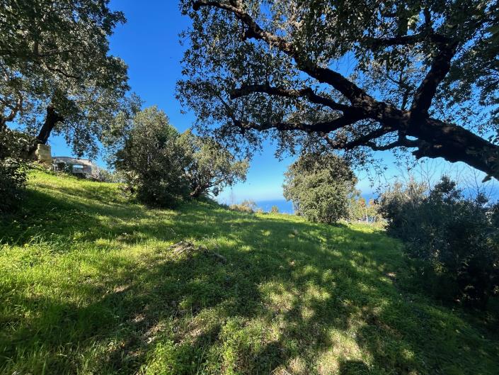 Image No.2-Land for sale