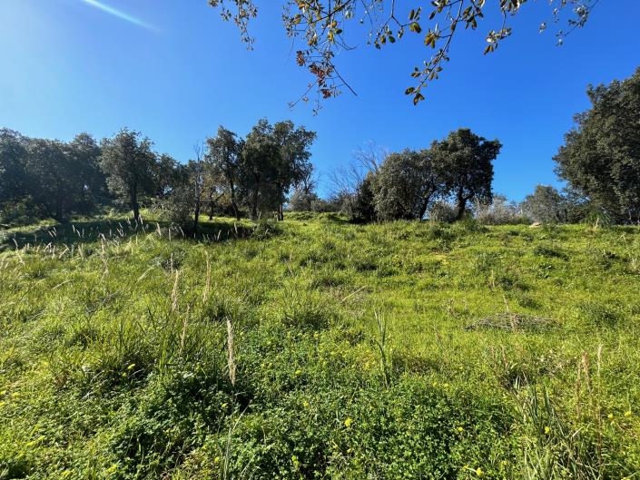 Image No.20-Land for sale