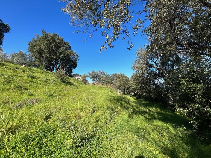 Image No.21-Land for sale