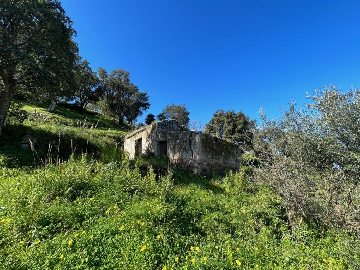 Image No.22-Land for sale