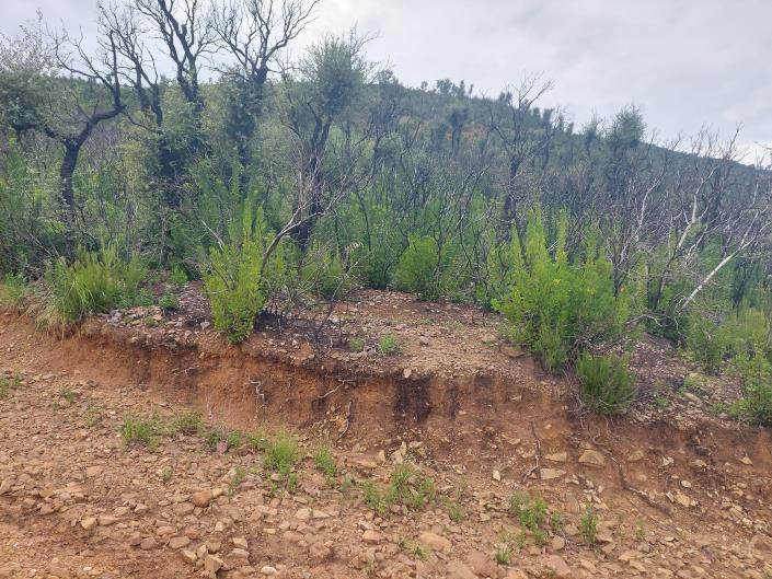 Image No.4-Land for sale