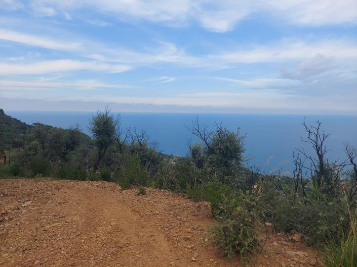 Image No.8-Land for sale