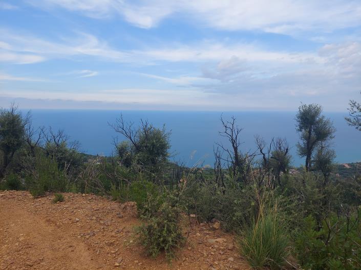 Image No.9-Land for sale