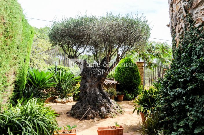 Image No.38-4 Bed Villa for sale