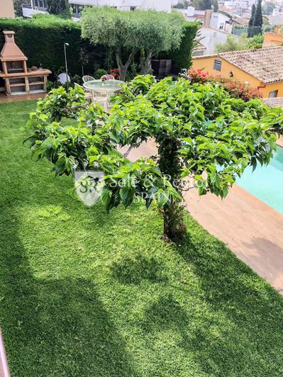 Image No.61-6 Bed Villa for sale