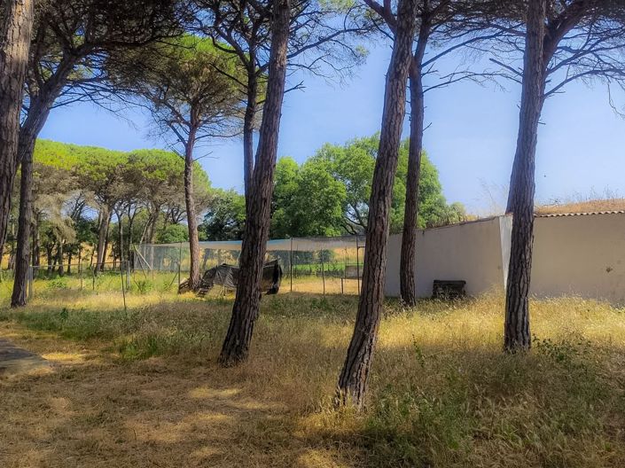 Image No.36-5 Bed Villa for sale