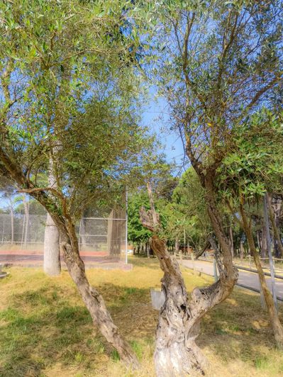 Image No.38-5 Bed Villa for sale