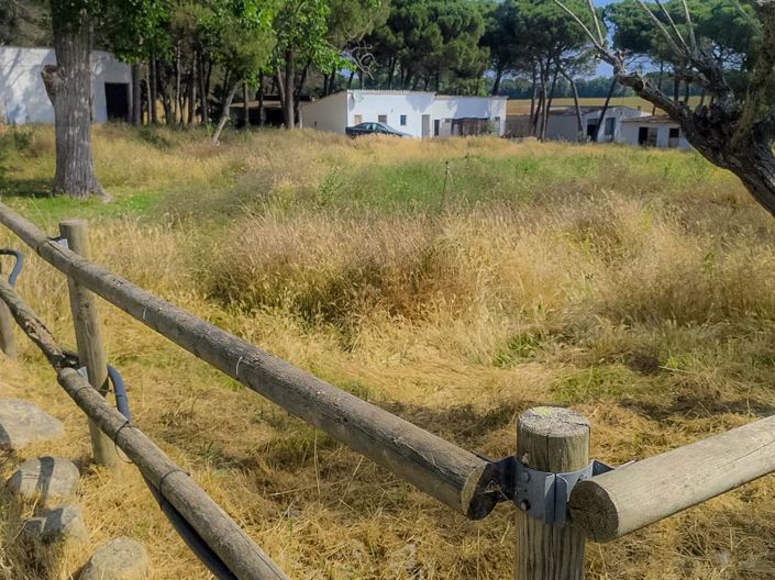 Image No.39-5 Bed Villa for sale