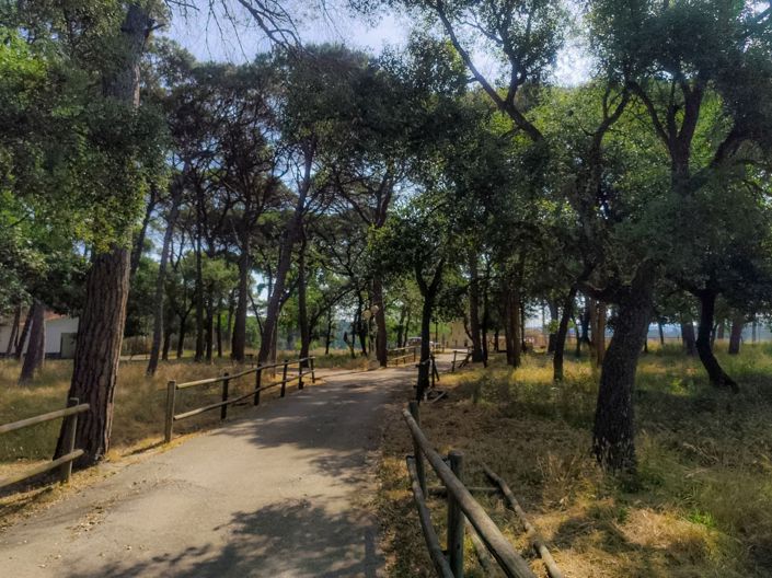 Image No.40-5 Bed Villa for sale