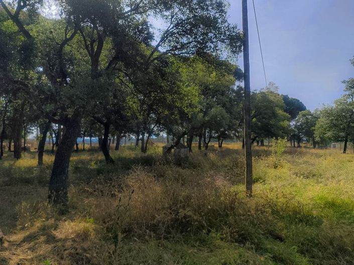 Image No.41-5 Bed Villa for sale