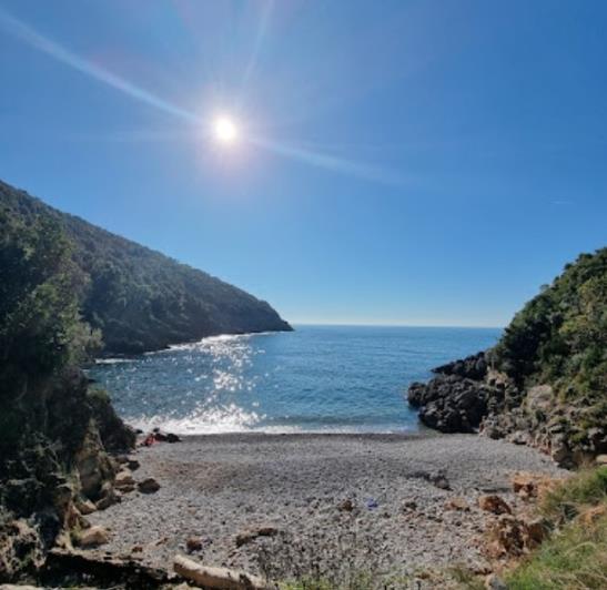 Image No.13-Cottage for sale