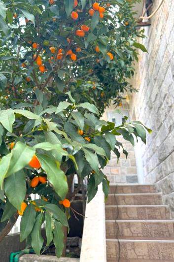 Image No.9-3 Bed Semi-Detached for sale