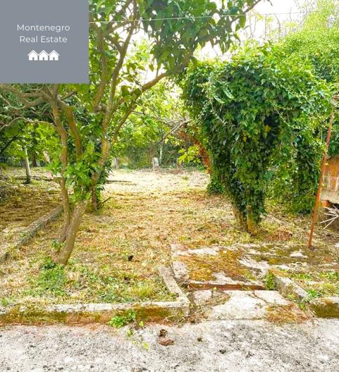 Image No.5-5 Bed House for sale