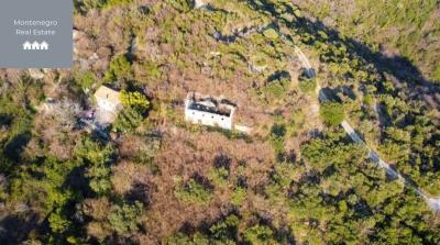 WhatsApp-Image-2025-05-14-at-18-48-03--2-