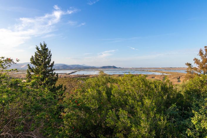 Image No.6-Plot for sale