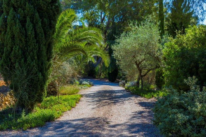 Image No.45-4 Bed Finca for sale