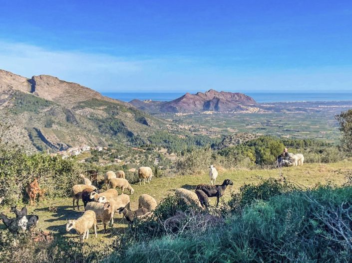 Image No.33-3 Bed Apartment for sale