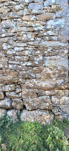 Image No.5-5 Bed Country House for sale