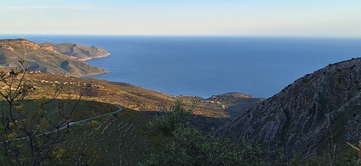 Image No.32-5 Bed Country House for sale