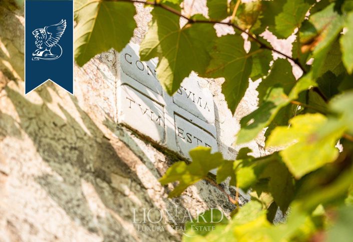 Image No.14-11 Bed Farmhouse for sale